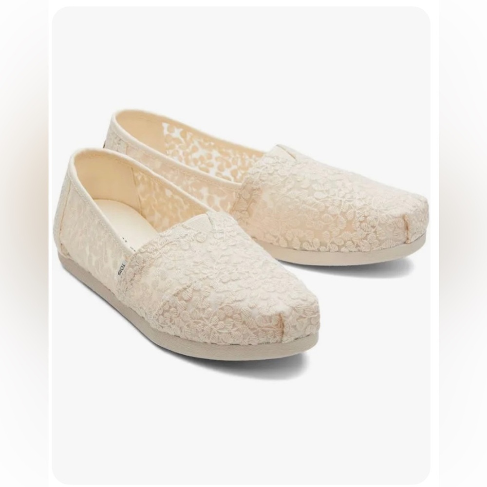 Toms Lace Alparagsta Slip on Shoe